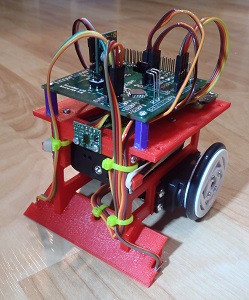 Sumo Robot Picture